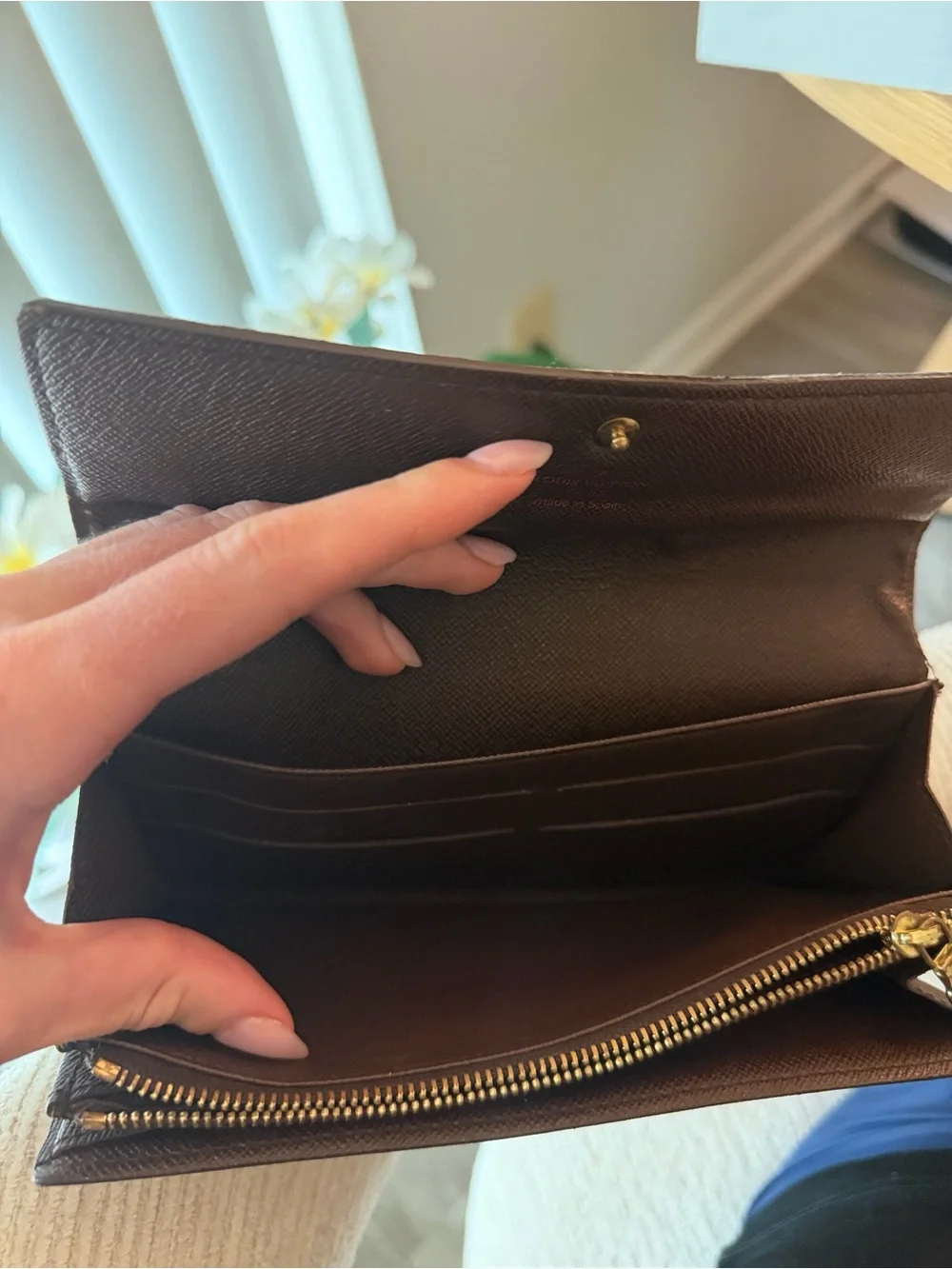 Louis Vuitton Epene Damier Women's Wallet Clutch